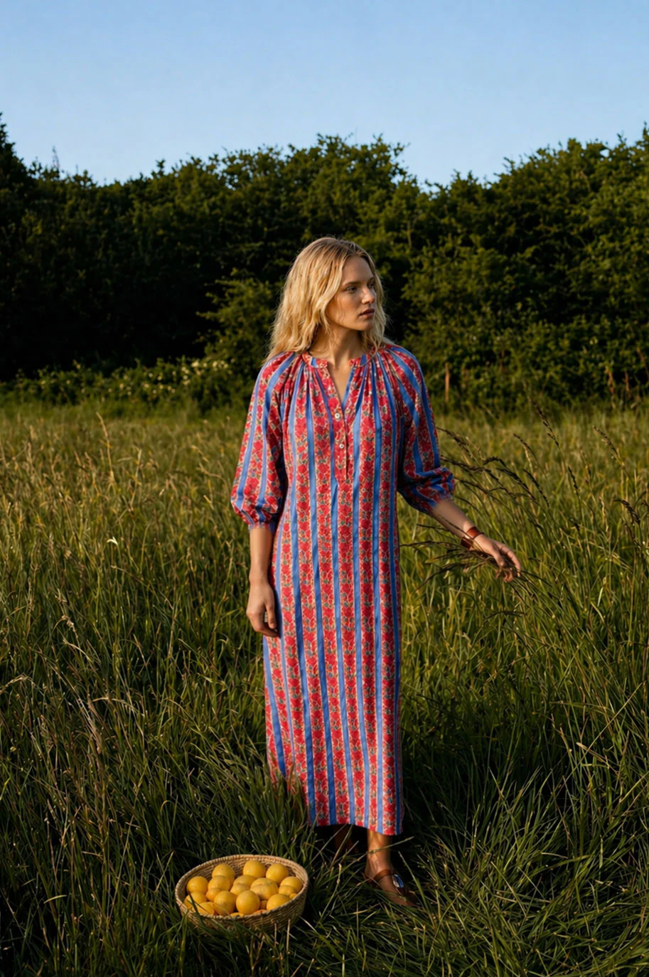 NEW IN | CITRUS STORIES